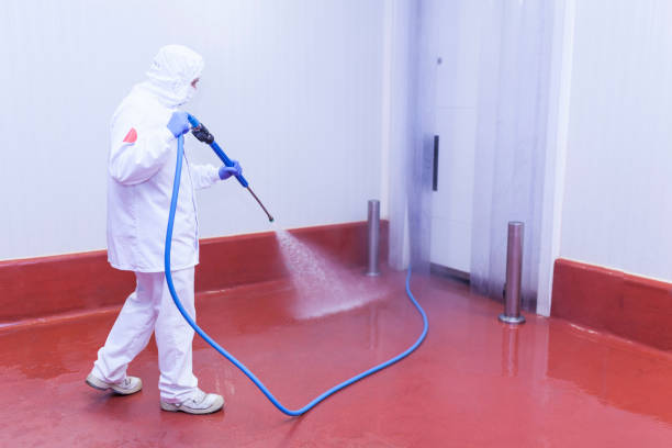 Reliable Cambridge, MD Pressure Washing Services Solutions